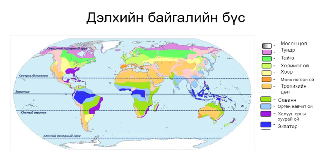 Мэдлээ | Цахим контент